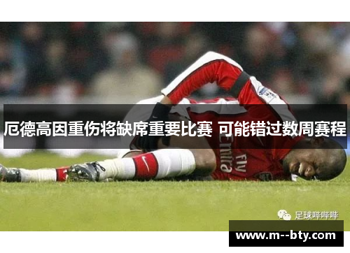 厄德高因重伤将缺席重要比赛 可能错过数周赛程