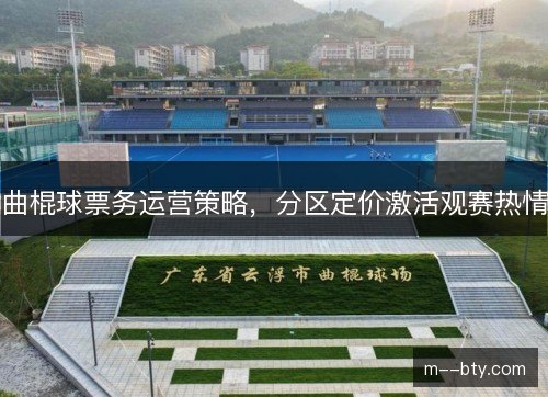 曲棍球票务运营策略,分区定价激活观赛热情 曲棍球票务运营策略,分区定价激活观赛热情